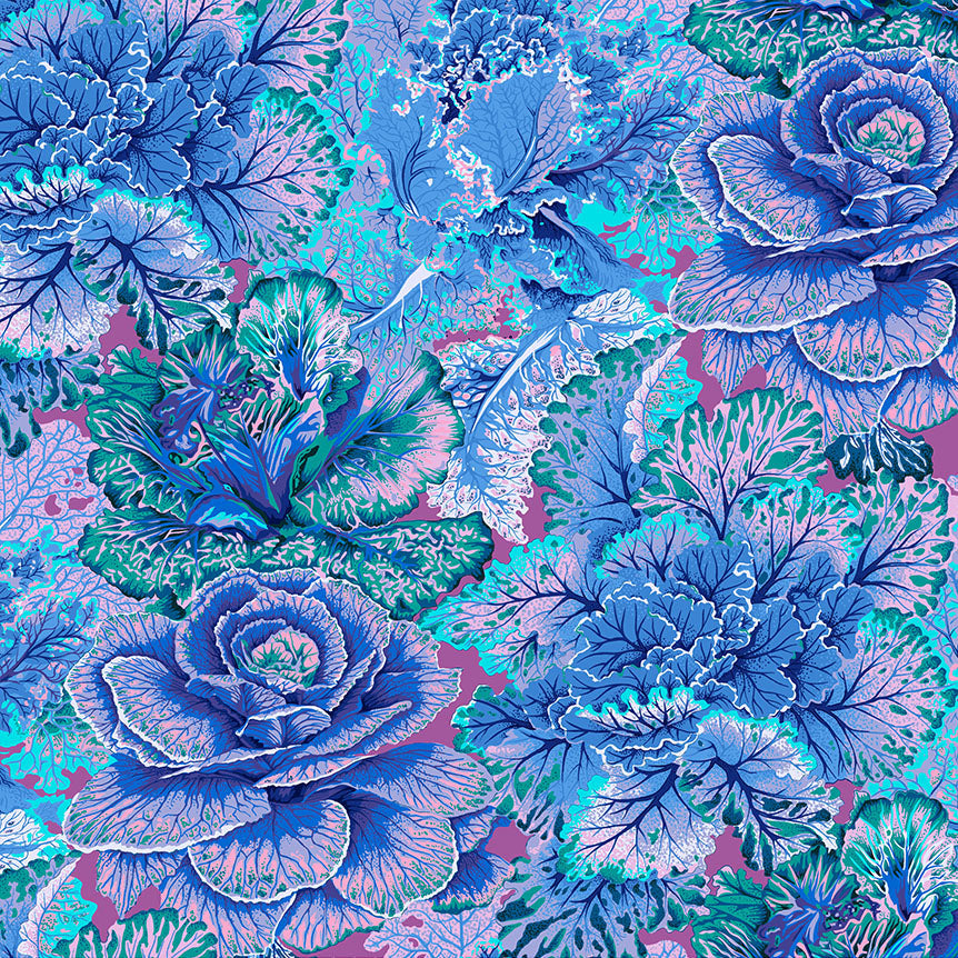 CURLY KALE blue
