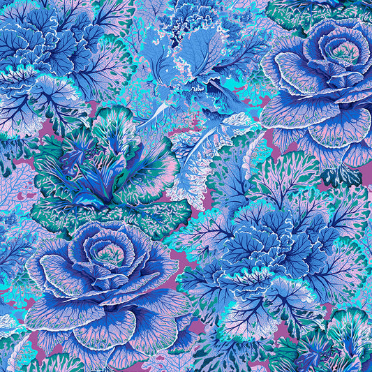 CURLY KALE blue