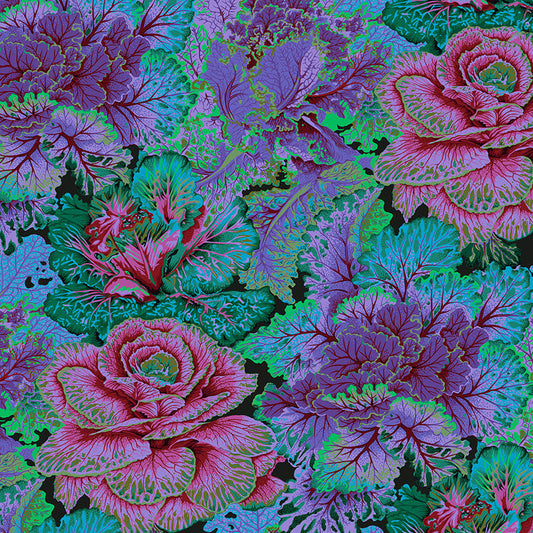 CURLY KALE dark