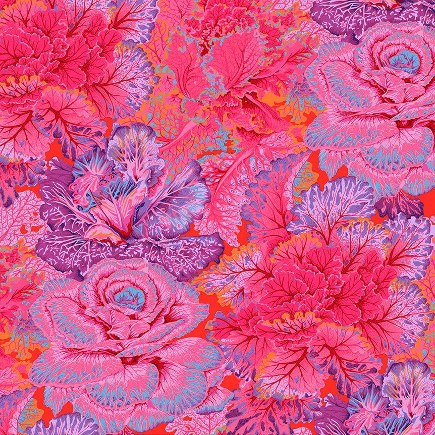 CURLY KALE red