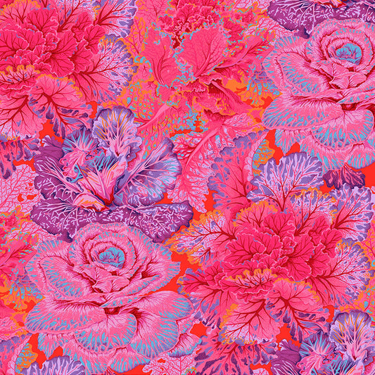 CURLY KALE red