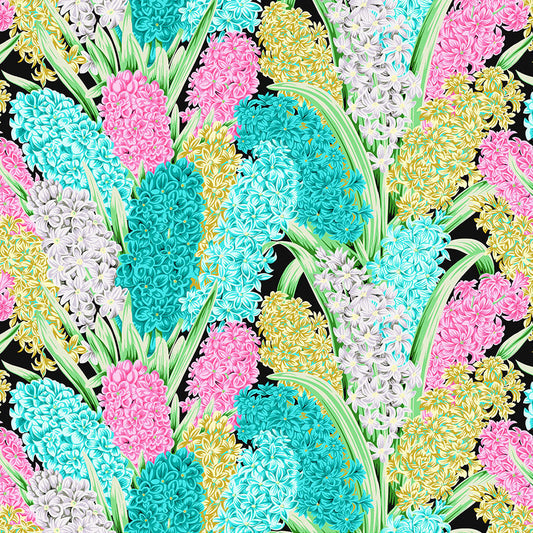 HYACINTHUS contrast