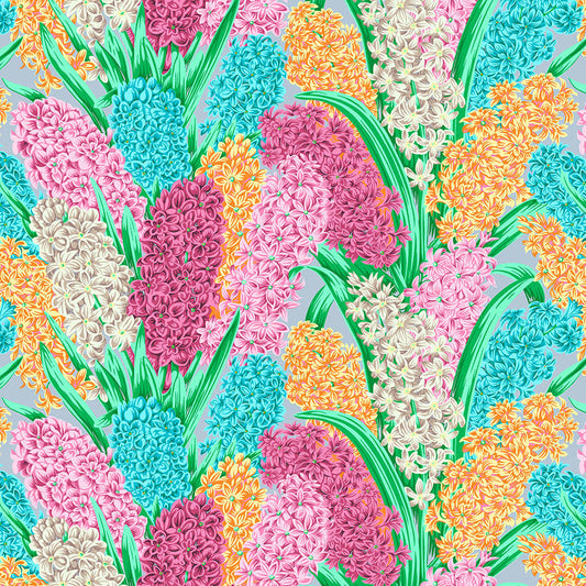 HYACINTHUS grey