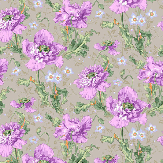 PAPAVER grey