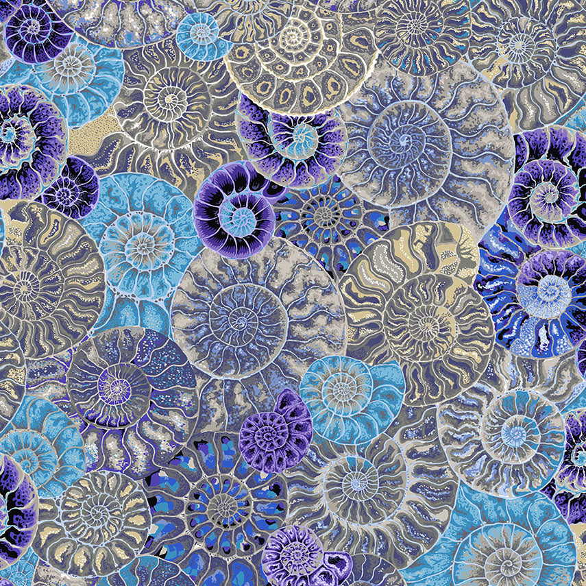 AMMONITES blue
