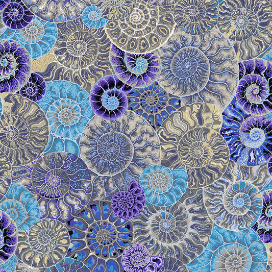 AMMONITES blue