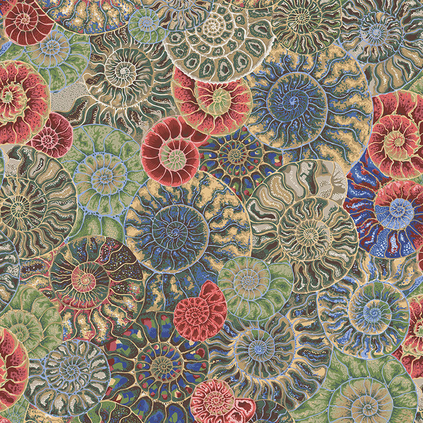 AMMONITES neutral