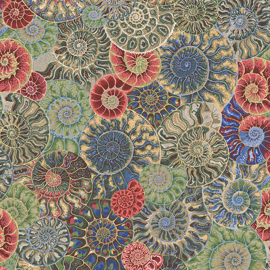 AMMONITES neutral