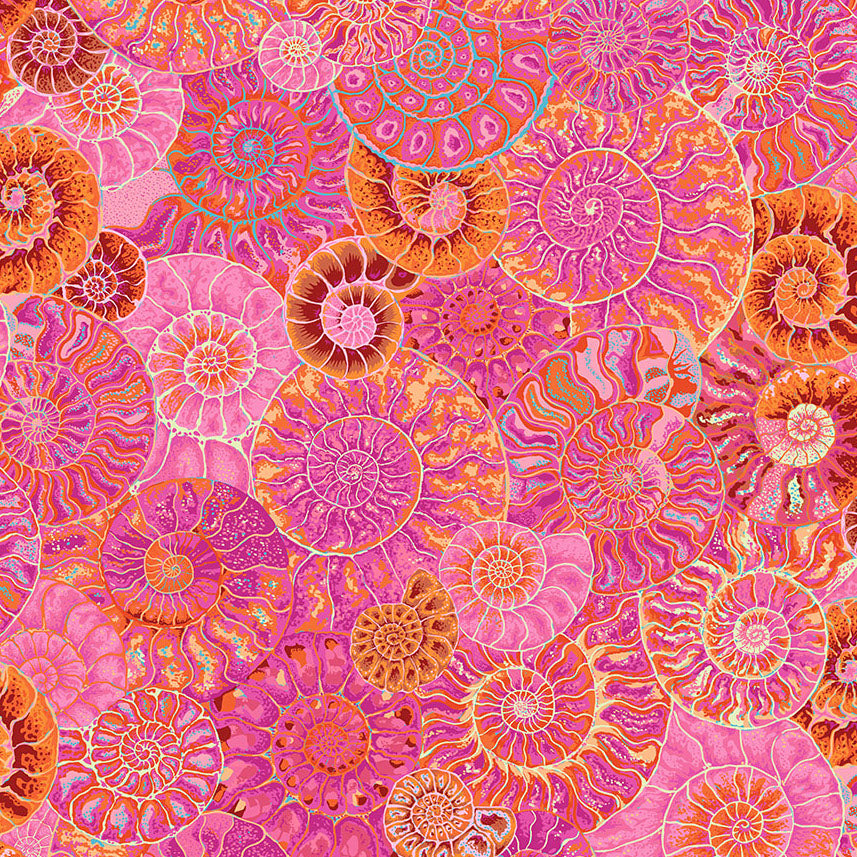 AMMONITES pink