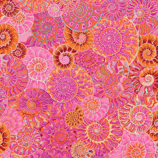 AMMONITES pink