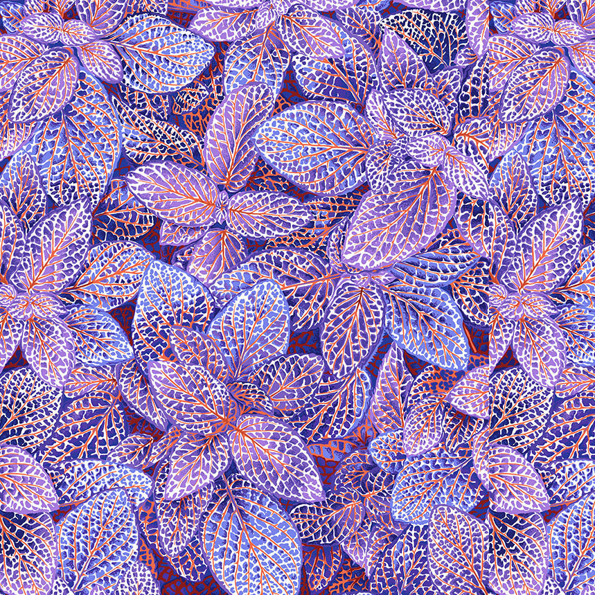 FITTONIA blue