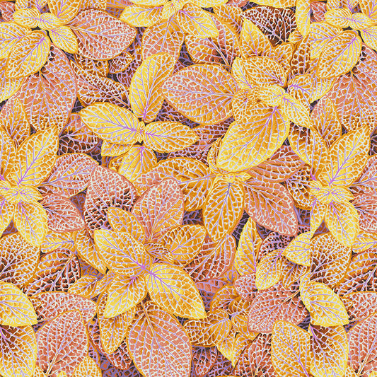 FITTONIA gold
