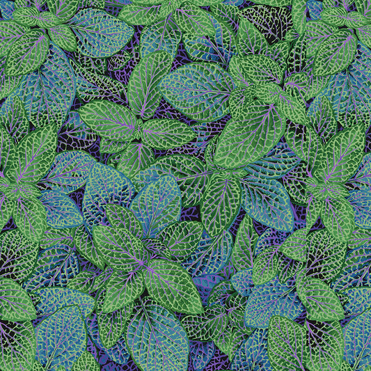 FITTONIA green