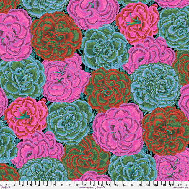 Picotee Carnations Dark