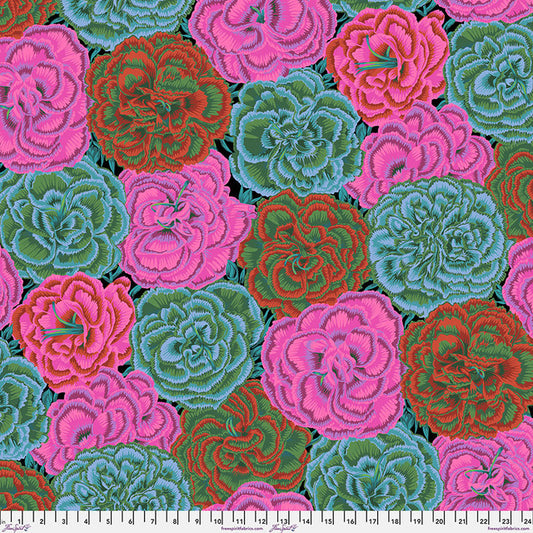 Picotee Carnations Dark