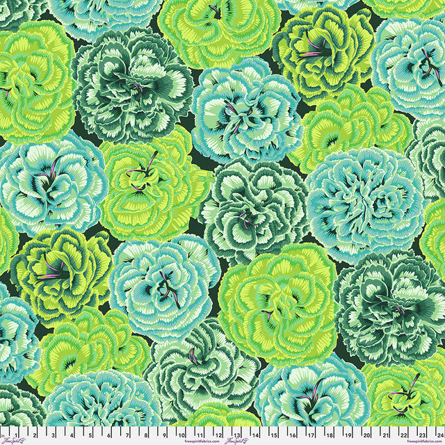 Picotee Carnations Green