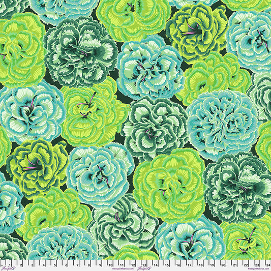 Picotee Carnations Green