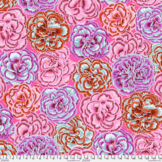 Picotee Carnations Pink