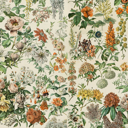 Palette Orange Botanical