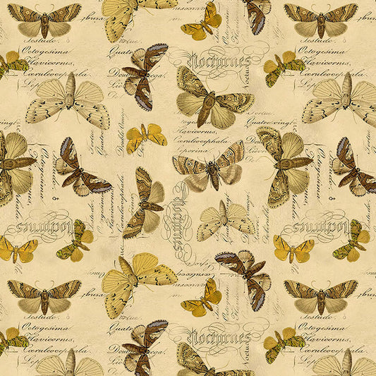 Palette Yellow Specimen