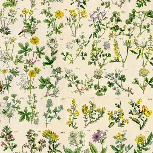 Palette Yellow Botanical