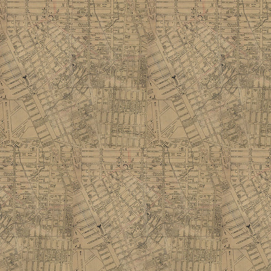 PALETTE Neutral Map