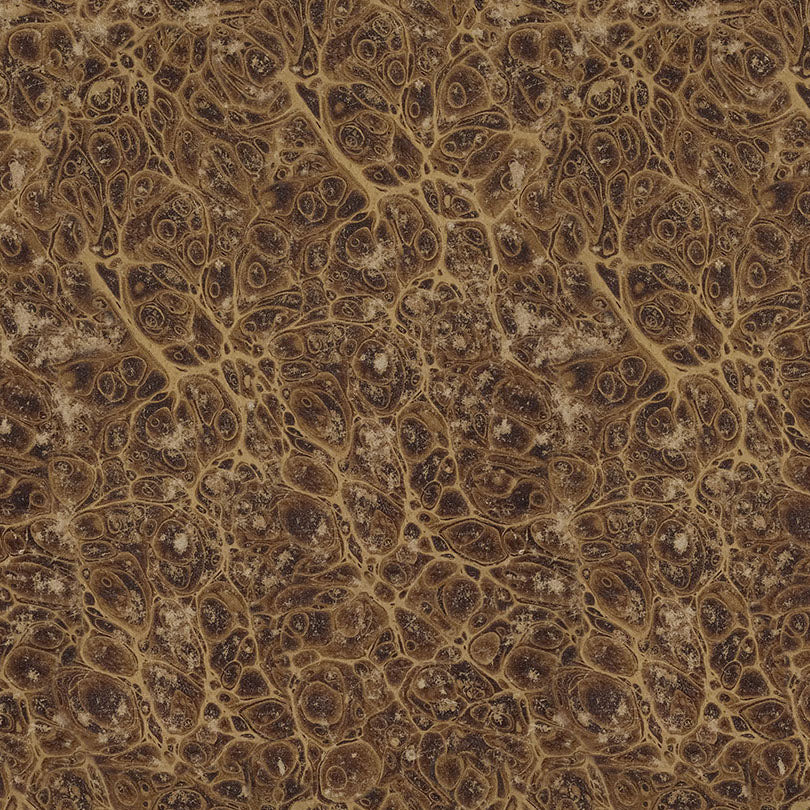 PALETTE Neutral Marble