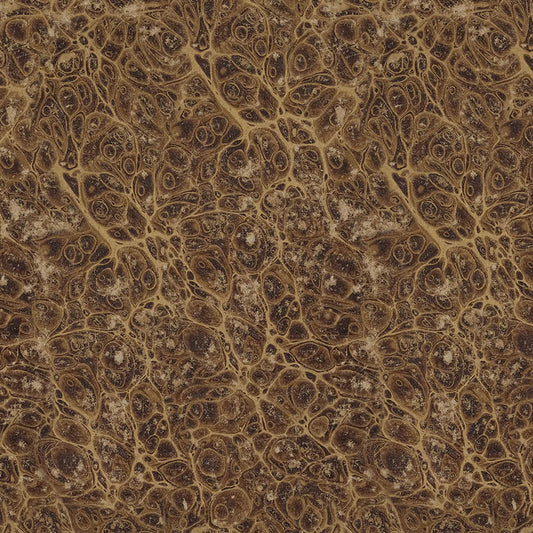 PALETTE Neutral Marble