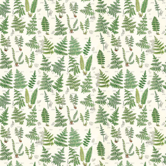 PALETTE Green Ferns