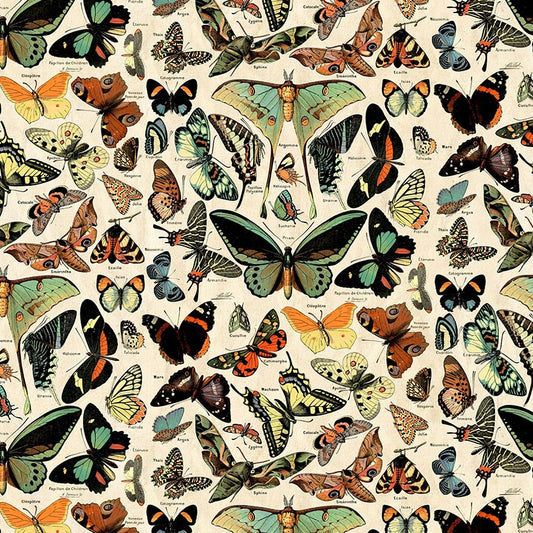 PALETTE Teal Butterflies