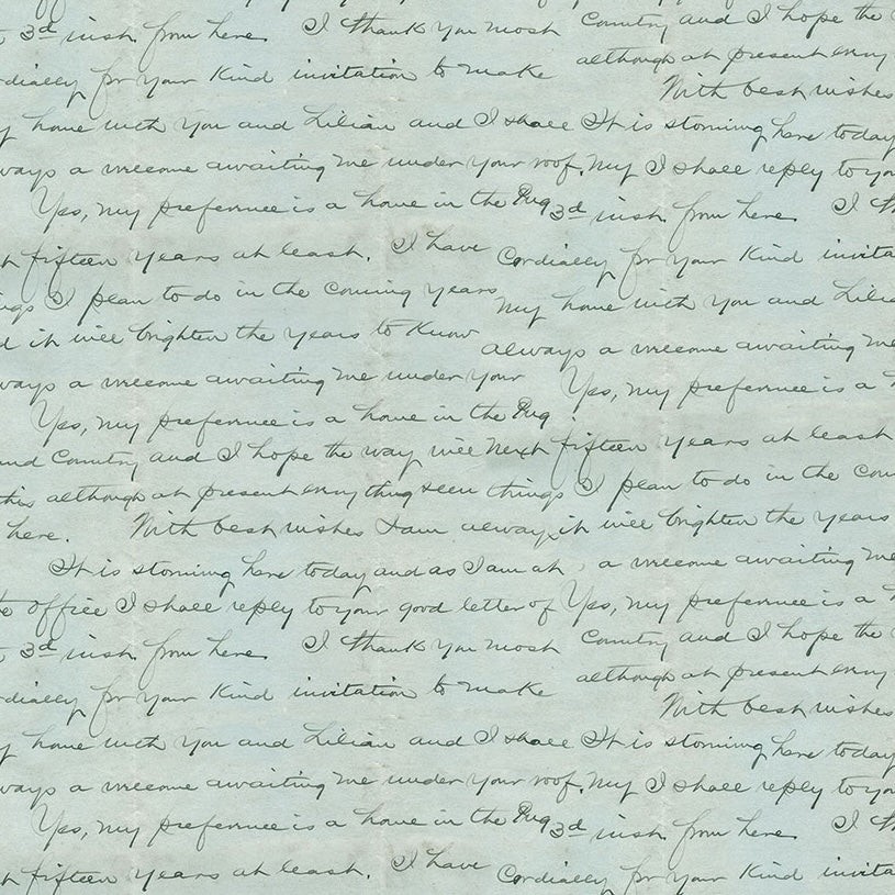PALETTE Blue Script