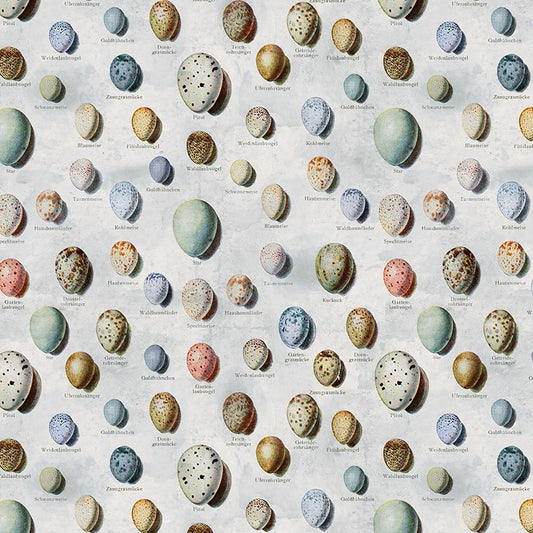 PALETTE Blue Eggs