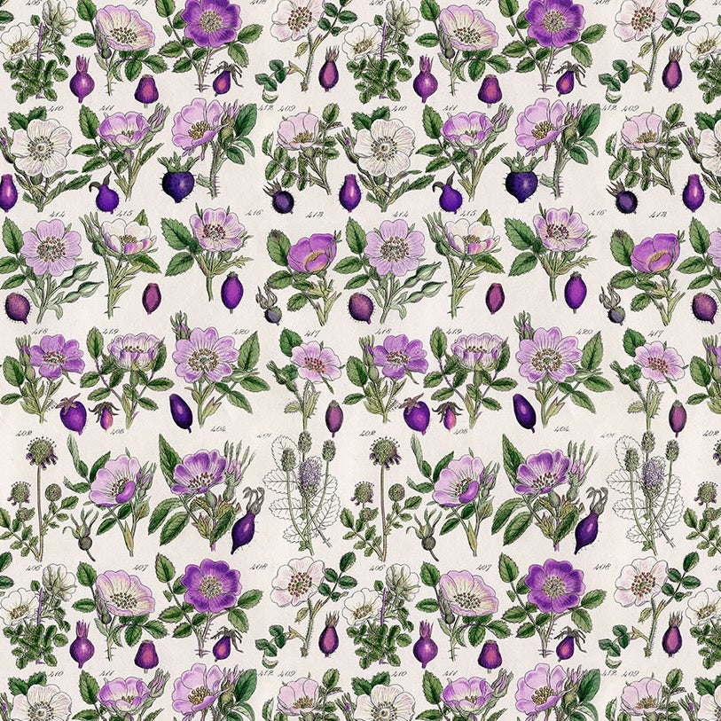 PALETTE PURPLE Botanical