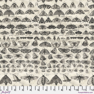 Palette Charcoal Moths