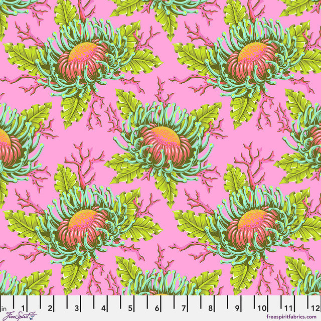 FLORAL REEF Friends & Anemones coralline