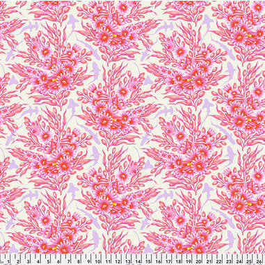 FLORAL REEF Shadow Sharks delphine