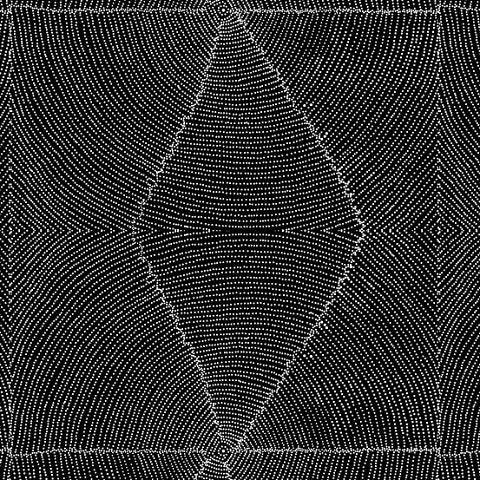 AUSTRALIAN Plum Seeds black