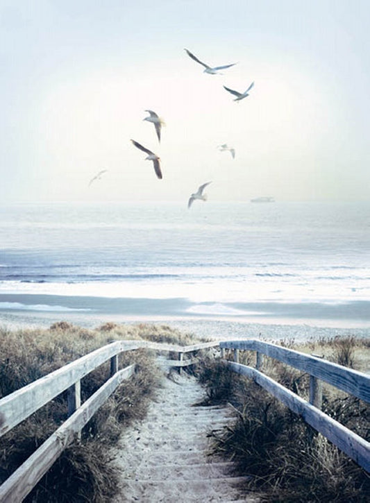 CALL OF THE WILD Beach Steps Panel  32"x43"