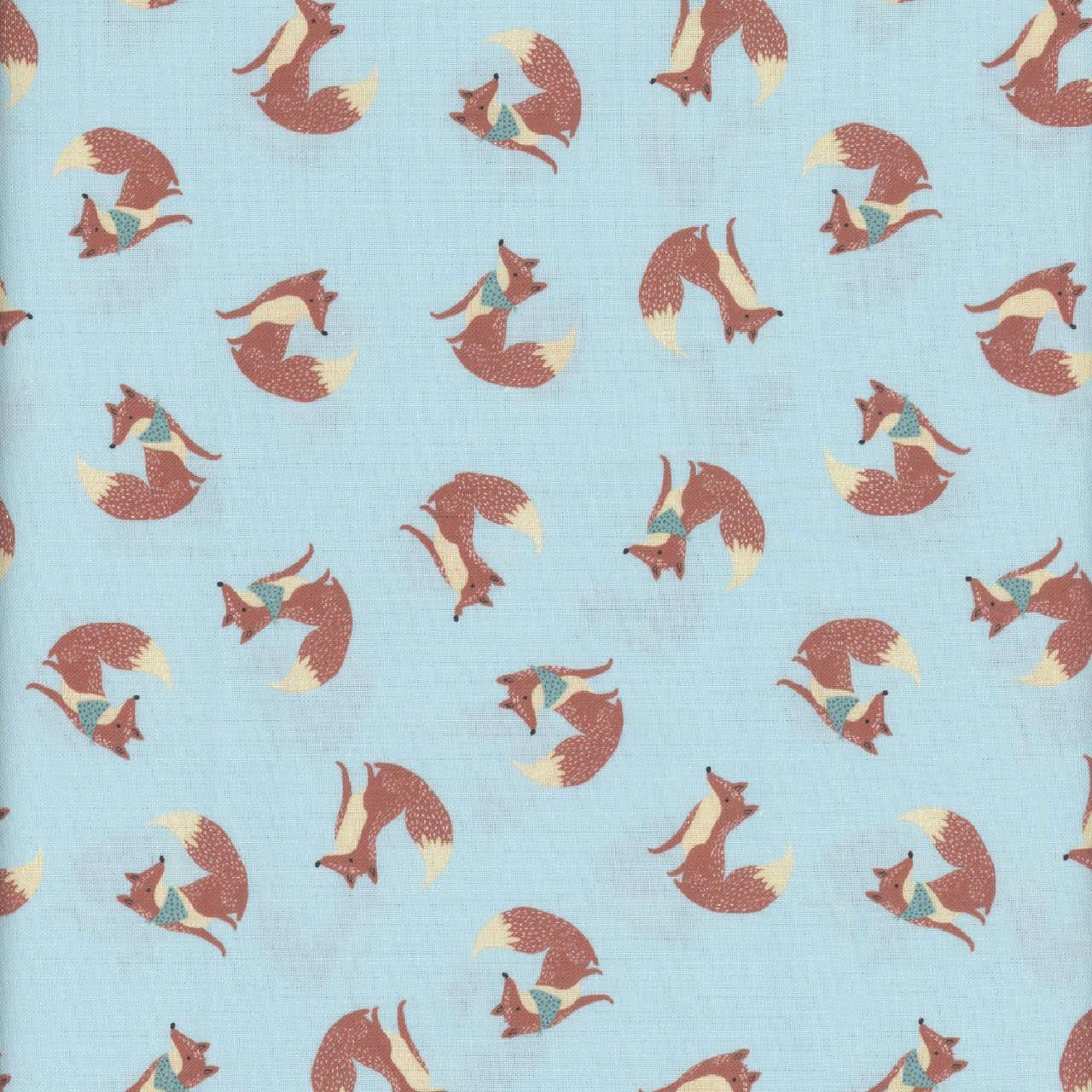 ALPHABET CITY Foxes sky D3223