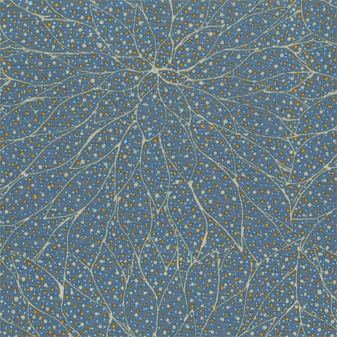 AUSTRALIAN Fallen Seeds stormy sea