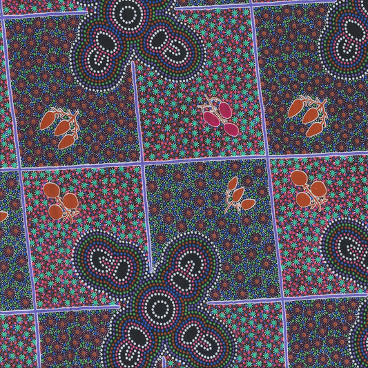 AUSTRALIAN Women Gathering Bush Tucker pink
