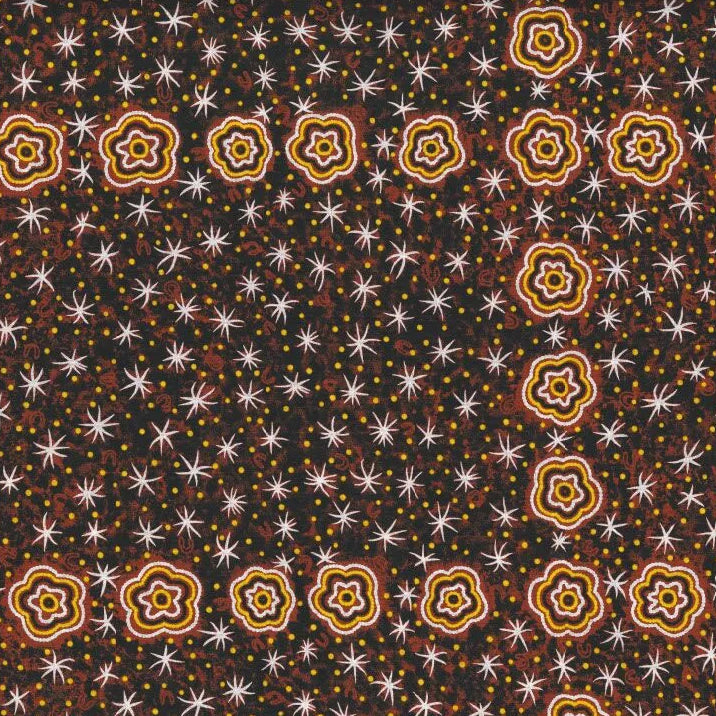 AUSTRALIAN Women Watching Stars at Night brown