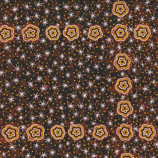 AUSTRALIAN Women Watching Stars at Night brown