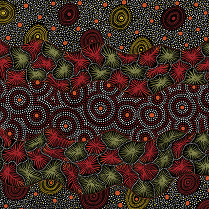 AUSTRALIAN Wild Seed & Waterhole black