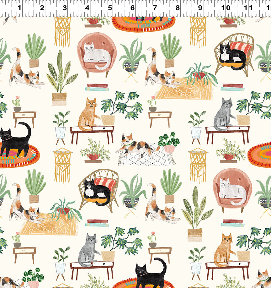 HOMEBODIES House Cats lt. cream