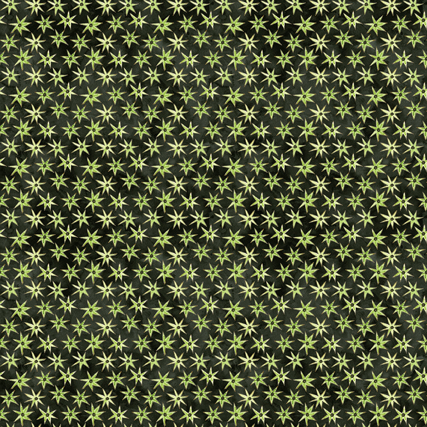 GHOUL FRIENDS Stars black