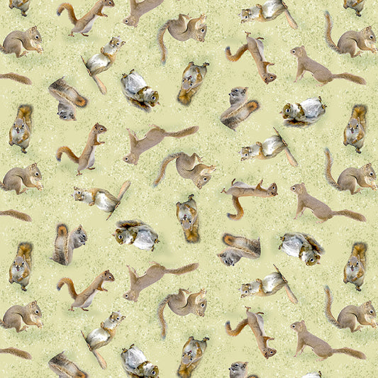 THE SECRET LIFE OF SQUIRRELS Squirrels light olive