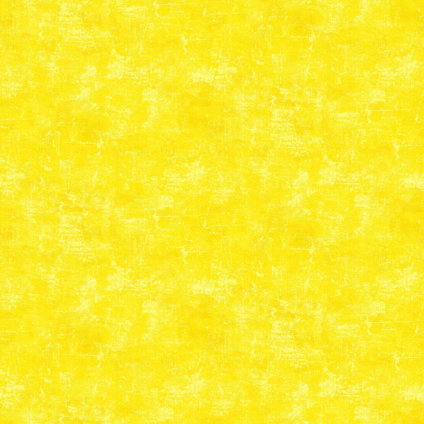 CANVAS Canary 50 NEW