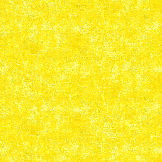CANVAS Canary 50 NEW