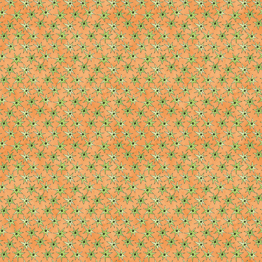 GHOUL FRIENDS Stars orange